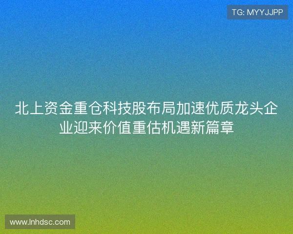 北上资金重仓科技股布局加速优质龙头企业迎来价值重估机遇新篇章 北上资金重仓科技股布局加速优质龙头企业迎来价值重估机遇新篇章